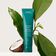 BOTANICAL REPAIR (CREMA PARA PEINAR BOND BUILDING STYLING CREAM)